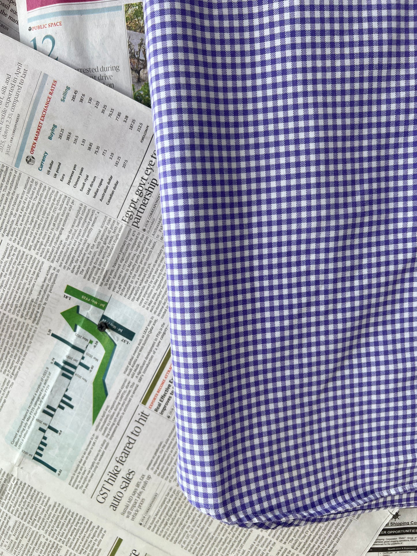 Ralph Lauren® Purple & White Oxford – (Chest: 24)